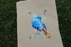 CF872E68-2B00-45B2-88BC-BDEF3FFFDE6F.thumb.jpeg.60557c1050b7b7b9b09c1bff2ef32cda.jpeg