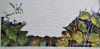 D43904B9-36AC-4F6B-A65D-A7EBA19F068B.thumb.jpeg.06b9b04e8f1bb14a8d7ff3a62f7797cb.jpeg