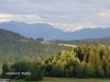 DSC06691.thumb.JPG.41c1e92247781556950476bd48fa2eb3.JPG