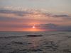 DSCF0953.thumb.JPG.51a8e47b03b33b048fcfc0d9e04ce634.JPG