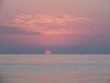 DSCF1036.thumb.JPG.5eb4491c0e0860f726cf582ff1c509b0.JPG