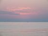 DSCF1048.thumb.JPG.d5eac95e0e6ccab7859833459936c429.JPG