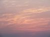 DSCF1277.thumb.JPG.5299be98489f88fc9d7f1d7dea9a0b1c.JPG