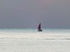 DSCF1313.thumb.JPG.02a30fdf5a26e6b3b3cb1076630565e7.JPG