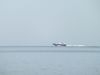 DSCF1348.thumb.JPG.874fbaa204f787ae9da9064eba19d968.JPG