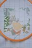 DSC_0120.thumb.JPG.5a195bdfda89c7e0e4bbfa33c0059679.JPG