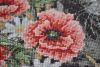 DSC_0275.thumb.JPG.db262ead9d89b09310214cd86e87278a.JPG