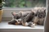 DSC_0298.thumb.JPG.be883701b89847d752dd9d5e12cc9188.JPG