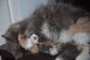 DSC_0300.thumb.JPG.33bd23270305612f485e516f0e3edd9e.JPG