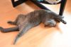 DSC_0305.thumb.JPG.d561f400a36152bf8bc5c2eb0ad45eab.JPG