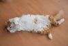 DSC_0338.thumb.JPG.9e10786c91c74621c6be603f50de355d.JPG