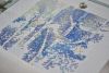 DSC_0339.thumb.JPG.63a91ea892f2ac69d3e2c698b2360ddf.JPG