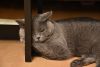 DSC_0344.thumb.JPG.27c3d044f9679fe80f0acbe8140d47c3.JPG