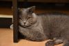DSC_0345.thumb.JPG.9e489145d2458c952a7e3b7137f6cf17.JPG