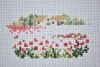 DSC_0355.thumb.JPG.47aaf2a2c4b4b95a28f7eb3657cb926a.JPG