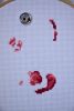 DSC_0368.thumb.JPG.ed2134a427f86b44067cf6bd23fab349.JPG