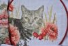 DSC_0658.thumb.JPG.55fe5da87df7a99abfa521225ac4ed42.JPG