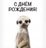FFB55DBD-5EDD-4917-A7AB-3EB35236C966.thumb.jpeg.e8b08cc1d7446c81747a5f8766cac2db.jpeg