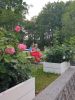 IMG-20220820-WA0053.thumb.jpg.f6095544c0c1e50d8b47cc9688e5dd98.jpg