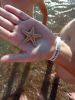 IMG-3b02a580b4ee942b6bf56ba9e570d6e9-V.thumb.jpg.0683bbb8015c00addf3b1a068a8cc640.jpg