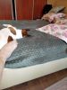 IMG20220926170243.thumb.jpg.a192fd8051098e2fb9bd158acb221a48.jpg