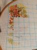 IMG_20201004_222721.jpg