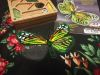 IMG_20220521_225129.thumb.jpg.769419eb39ebdf809a266b93bc9b1d57.jpg