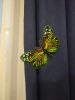 IMG_20220523_200353.thumb.jpg.258a18ed9b67ba423b06defc68fe8726.jpg