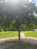 IMG_20220611_134005.thumb.jpg.2079fff8d51082696856c08cda6ff7cc.jpg