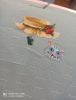 IMG_20220620_123949.jpg