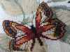 IMG_20220728_191146.thumb.jpg.57440b6237dd3dd33a6875c4c45bd184.jpg