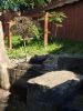 IMG_20220731_164848.jpg