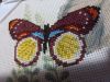 IMG_20220801_192836.thumb.jpg.f1d167e631e3c723496d15a1e5d2c53d.jpg