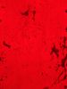IMG_20220802_221635.thumb.jpg.b6e7dabcf1dfe62275ec84a975664201.jpg