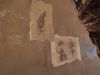 IMG_20220802_221734.thumb.jpg.a262b40d2e4db957dfc60f92b7609537.jpg