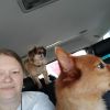 IMG_20220806_091229.thumb.jpg.3f942cf8563dff79a5af896fd9a8bef2.jpg