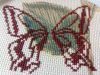 IMG_20220814_121950.thumb.jpg.2bad6ac8d1f890be1c1e5ad117248d33.jpg