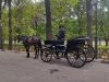 IMG_20220820_173717.thumb.jpg.8bd444d5aef88dcb65190d6b713b15fa.jpg