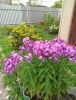 IMG_20220821_125809.thumb.jpg.45e58c6101e1258f37e9b0227e2675f7.jpg