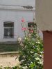 IMG_20220823_125056.thumb.jpg.2c2fe57412c428f89a63113348659f51.jpg
