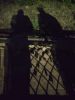 IMG_20220823_204259.thumb.jpg.7b884e90d5d1fbbe5ae9b55f35c6a359.jpg