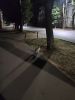 IMG_20220823_230059.thumb.jpg.b912a5d56338221bc217cfa3cefb27ee.jpg