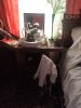 IMG_20220824_142315.thumb.jpg.def4251db9c53f3d959085783dbdf2f6.jpg