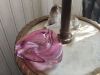 IMG_20220824_142833.thumb.jpg.04d34b4b5972ca27ca3a6bea9937915c.jpg