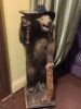 IMG_20220824_143613.thumb.jpg.f40394f9028b1192b489b8d5c67f9712.jpg