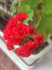 IMG_20220825_095150.thumb.jpg.0bd9dfe552c407751f45e2bece3ed9d2.jpg