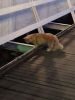 IMG_20220825_201828.thumb.jpg.e617cfe9987c6dc2fb7937f7e1eadc40.jpg