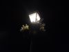 IMG_20220825_213343.thumb.jpg.2dd79414c3bb73efcf74721ca58d019d.jpg