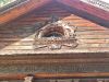 IMG_20220826_144015.thumb.jpg.8998f87ee05e42d03f471edf8fada400.jpg