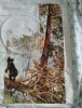 IMG_20220903_145408.thumb.jpg.ae149195fdd073c0024199a666191dd3.jpg